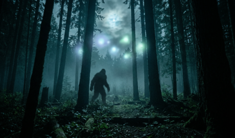 Shadowy creature walking through a misty forest beneath glowing lights
